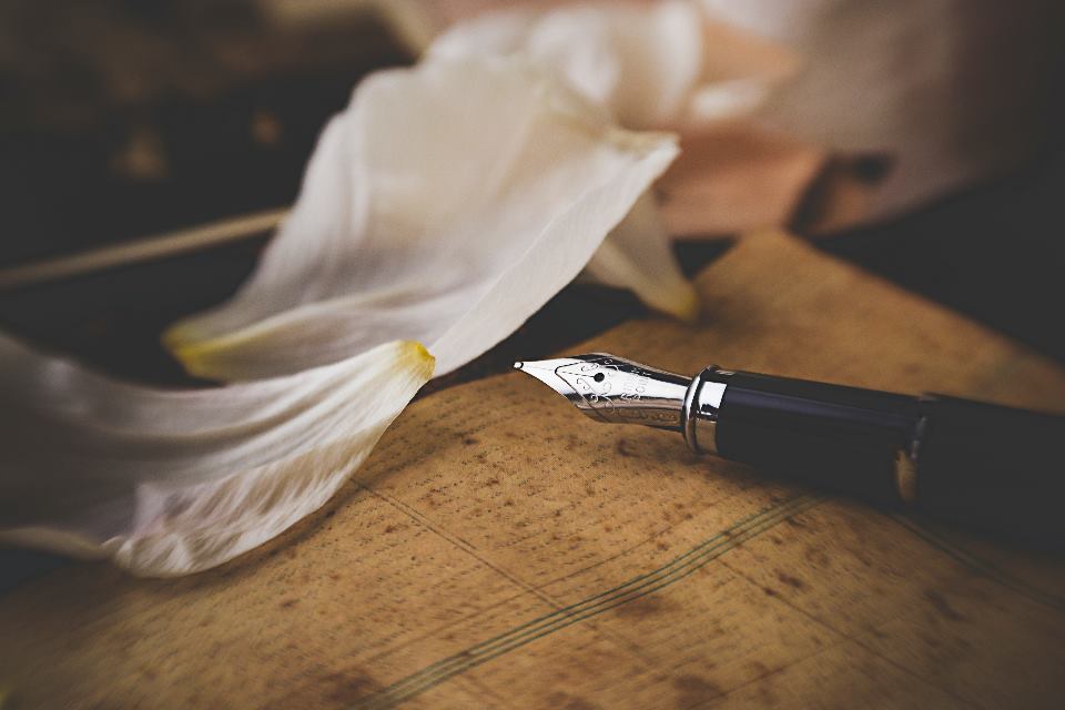 A fountain pen nib resting on aged paper beside a white petal